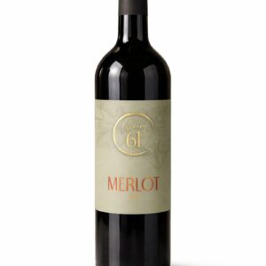 מרלו סינגל ויניארד בציר 24